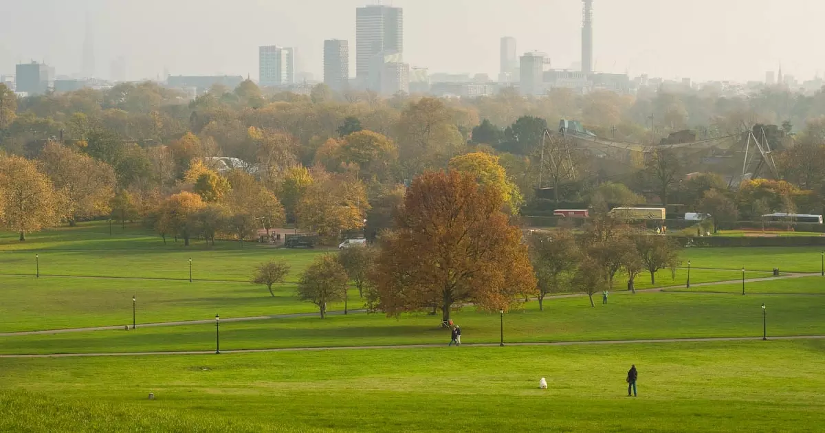 Primrose Hill Update The Royal Parks